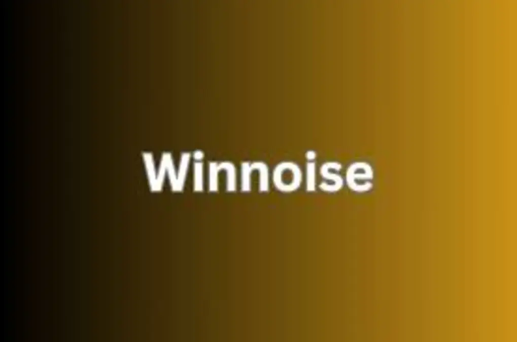 What Exactly Is Winnoise?